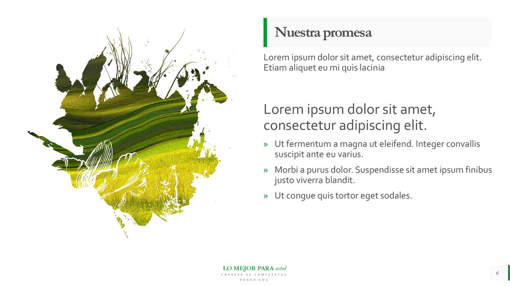 Lorem ipsum dolor sit amet, consectetur adipiscing elit.