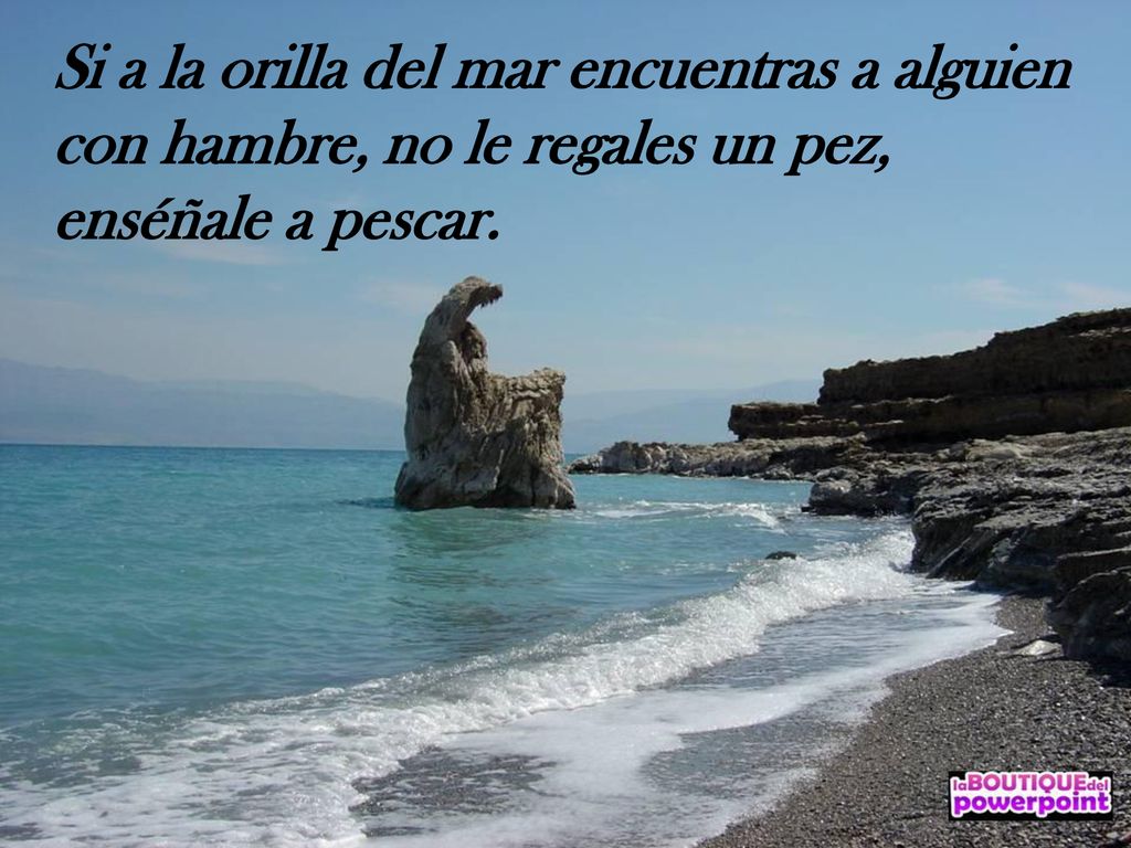 Si a la orilla del mar encuentras a alguien con hambre, no le regales un pez, enséñale a pescar.