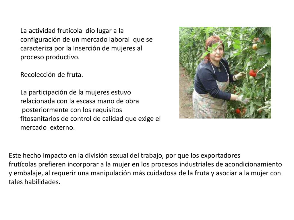 La actividad frutícola dio lugar a la configuración de un mercado laboral que se caracteriza por la Inserción de mujeres al proceso productivo.