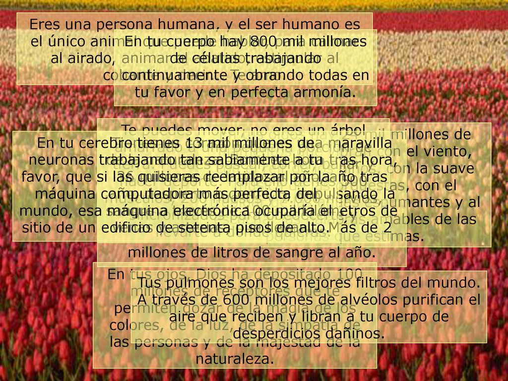 Eres una persona humana, y el ser humano es el único animal que puede hablar, para calmar al airado, animar al abatido, estimular al cobarde y decir... Te amo.