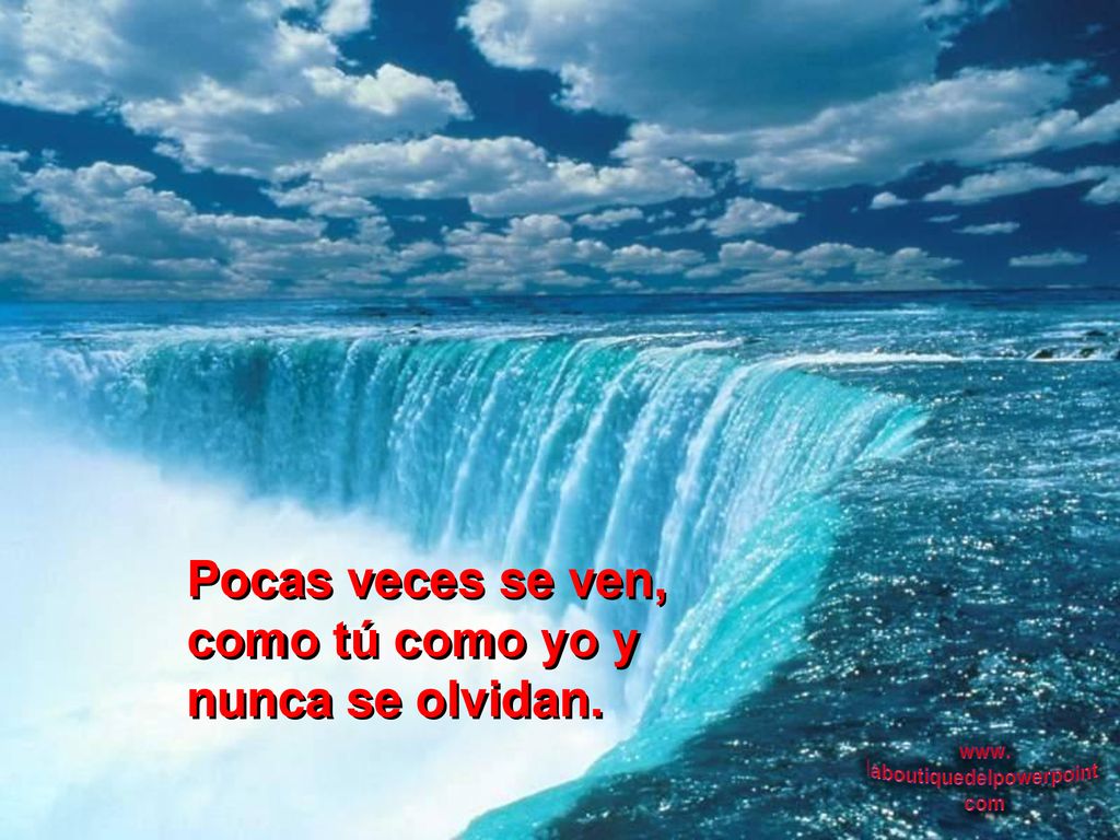 Pocas veces se ven, como tú como yo y nunca se olvidan.