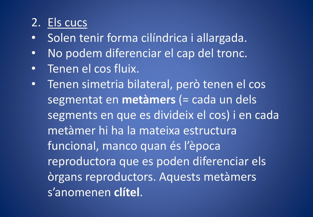 Els cucs Solen tenir forma cilíndrica i allargada. No podem diferenciar el cap del tronc. Tenen el cos fluix.