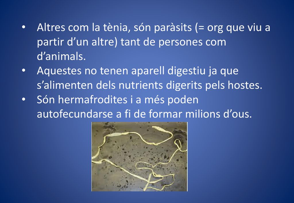 Altres com la tènia, són paràsits (= org que viu a partir d’un altre) tant de persones com d’animals.