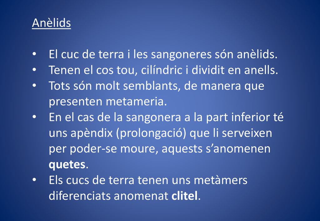 Anèlids El cuc de terra i les sangoneres són anèlids. Tenen el cos tou, cilíndric i dividit en anells.