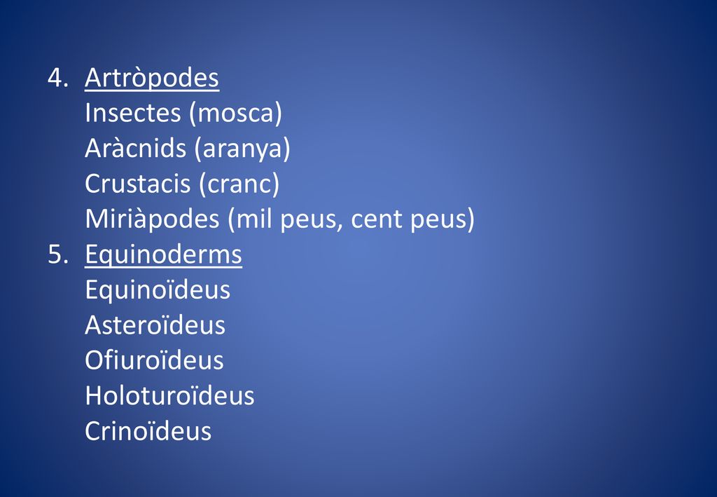 Artròpodes Insectes (mosca) Aràcnids (aranya) Crustacis (cranc) Miriàpodes (mil peus, cent peus)