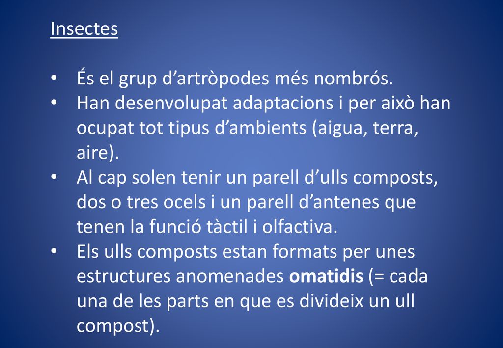 Insectes És el grup d’artròpodes més nombrós. Han desenvolupat adaptacions i per això han ocupat tot tipus d’ambients (aigua, terra, aire).