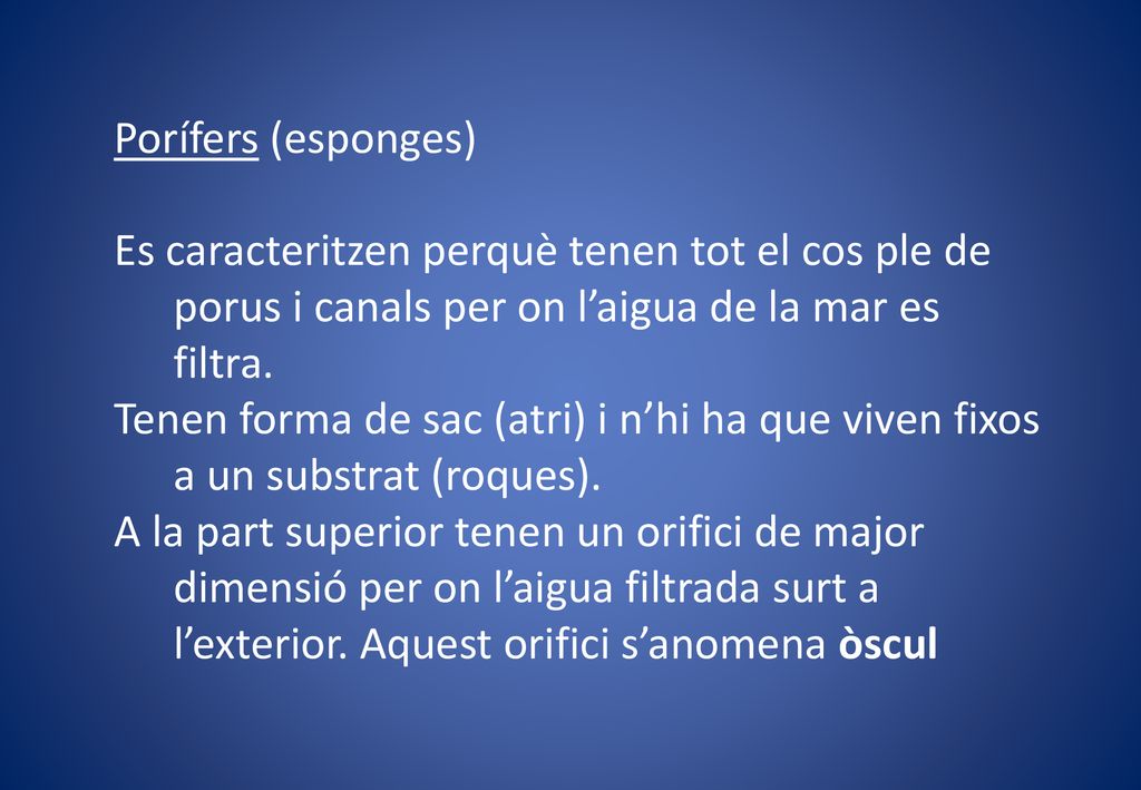 Porífers (esponges) Es caracteritzen perquè tenen tot el cos ple de porus i canals per on l’aigua de la mar es filtra.