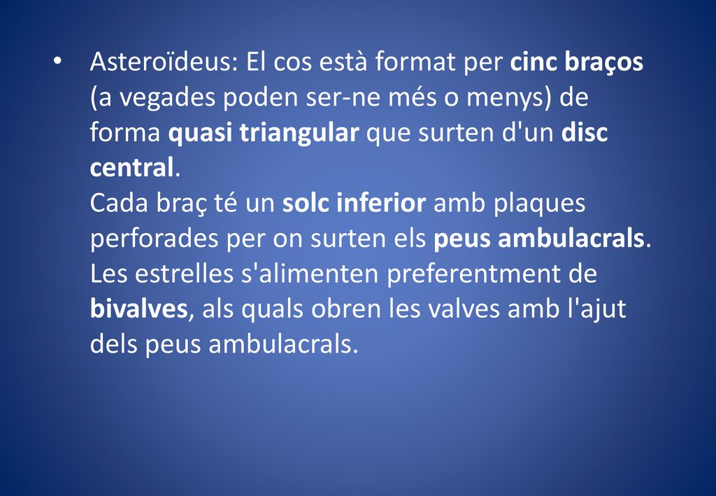 Asteroïdeus: El cos està format per cinc braços (a vegades poden ser-ne més o menys) de forma quasi triangular que surten d un disc central.