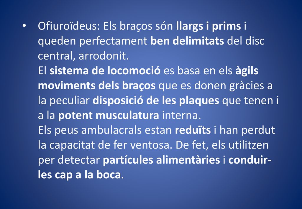 Ofiuroïdeus: Els braços són llargs i prims i queden perfectament ben delimitats del disc central, arrodonit.