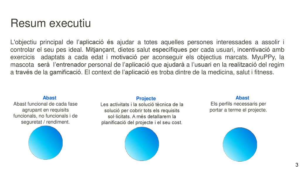 Els perfils necessaris per portar a terme el projecte.