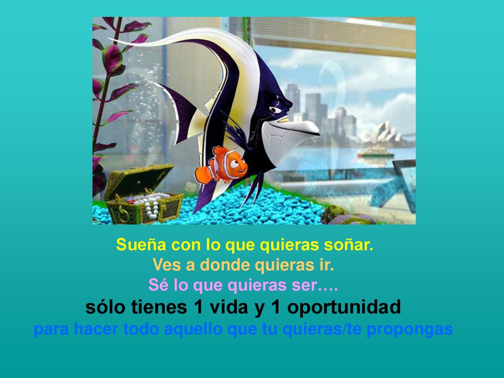 Sueña con lo que quieras soñar. Ves a donde quieras ir