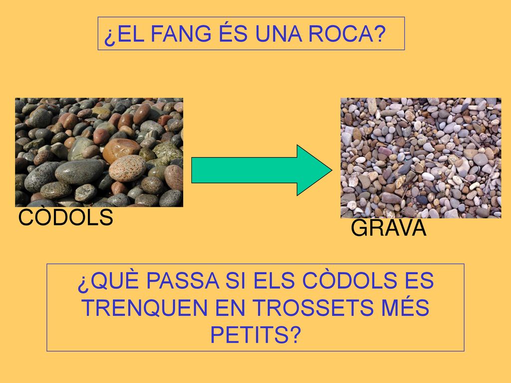¿QUÈ PASSA SI ELS CÒDOLS ES TRENQUEN EN TROSSETS MÉS PETITS
