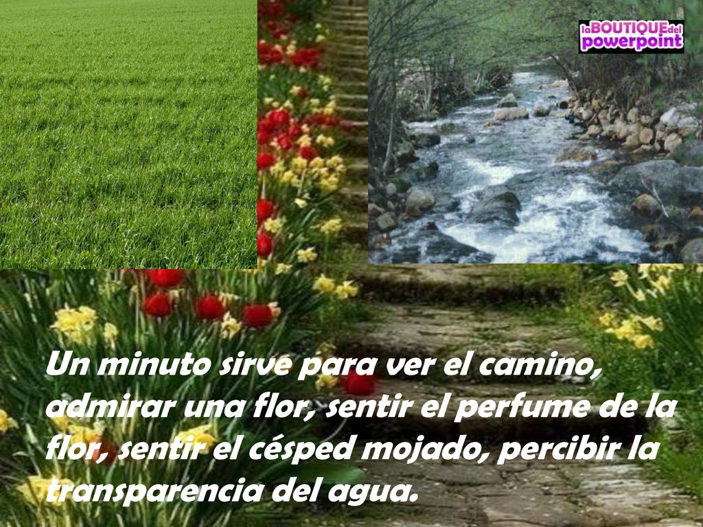 Un minuto sirve para ver el camino, admirar una flor, sentir el perfume de la flor, sentir el césped mojado, percibir la transparencia del agua.