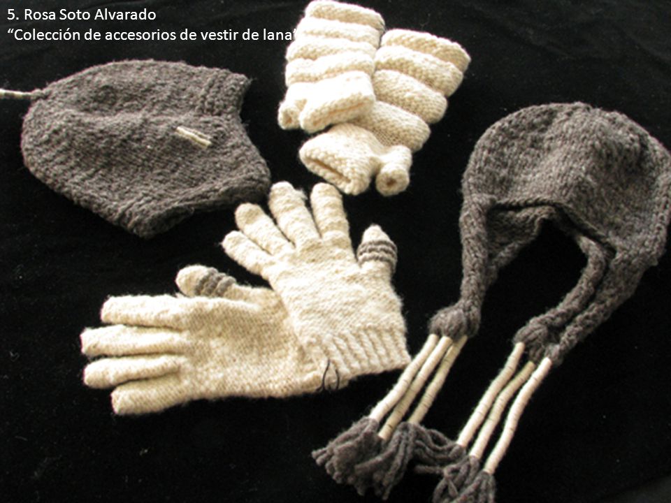 5. Rosa Soto Alvarado Colección de accesorios de vestir de lana .