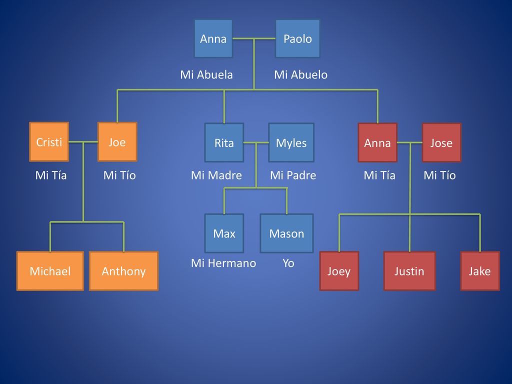 Anna Paolo. Mi Abuela. Mi Abuelo. Cristi. Joe. Rita. Myles. Anna. Jose. Mi Tía. Mi Tío. Mi Madre.
