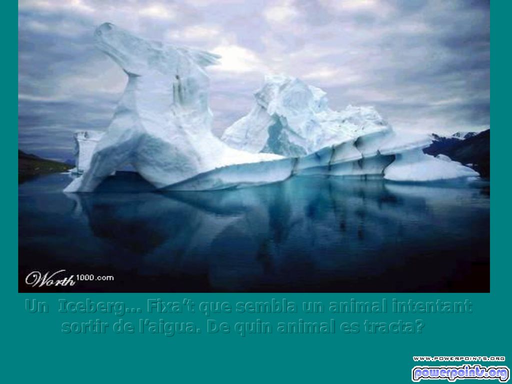 Un Iceberg… Fixa’t que sembla un animal intentant sortir de l’aigua