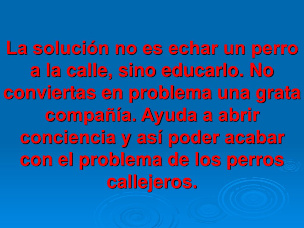 La solución no es echar un perro a la calle, sino educarlo