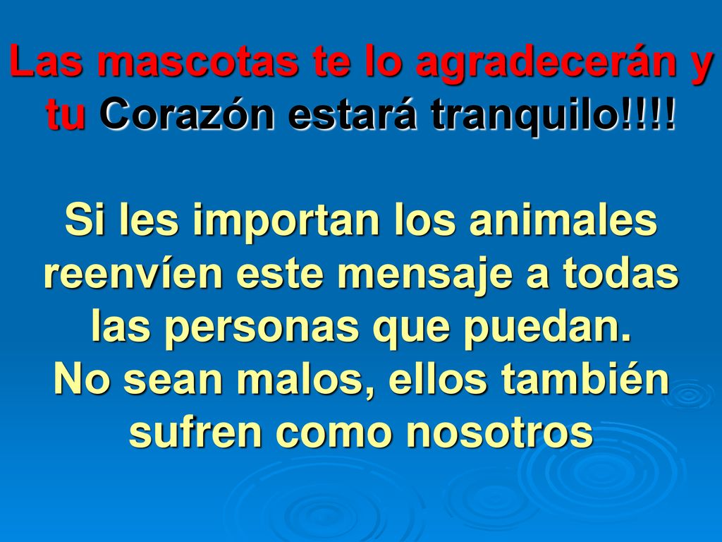 Las mascotas te lo agradecerán y tu Corazón estará tranquilo