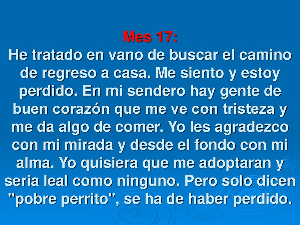 Mes 17: He tratado en vano de buscar el camino de regreso a casa