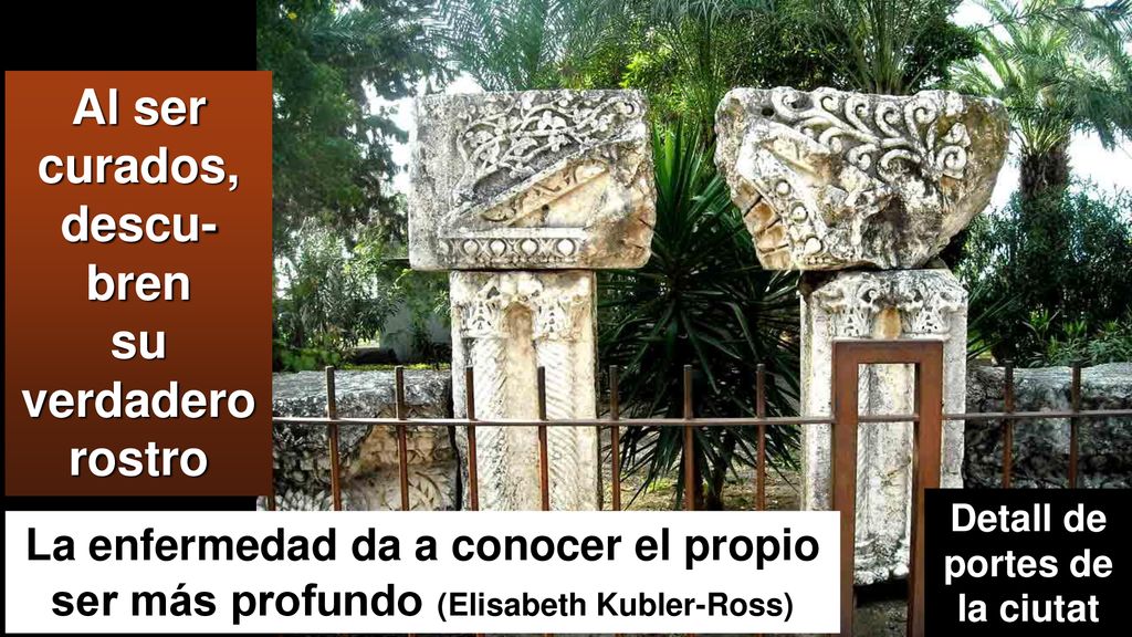 Al ser curados, descu-bren su verdadero Detall de portes de la ciutat