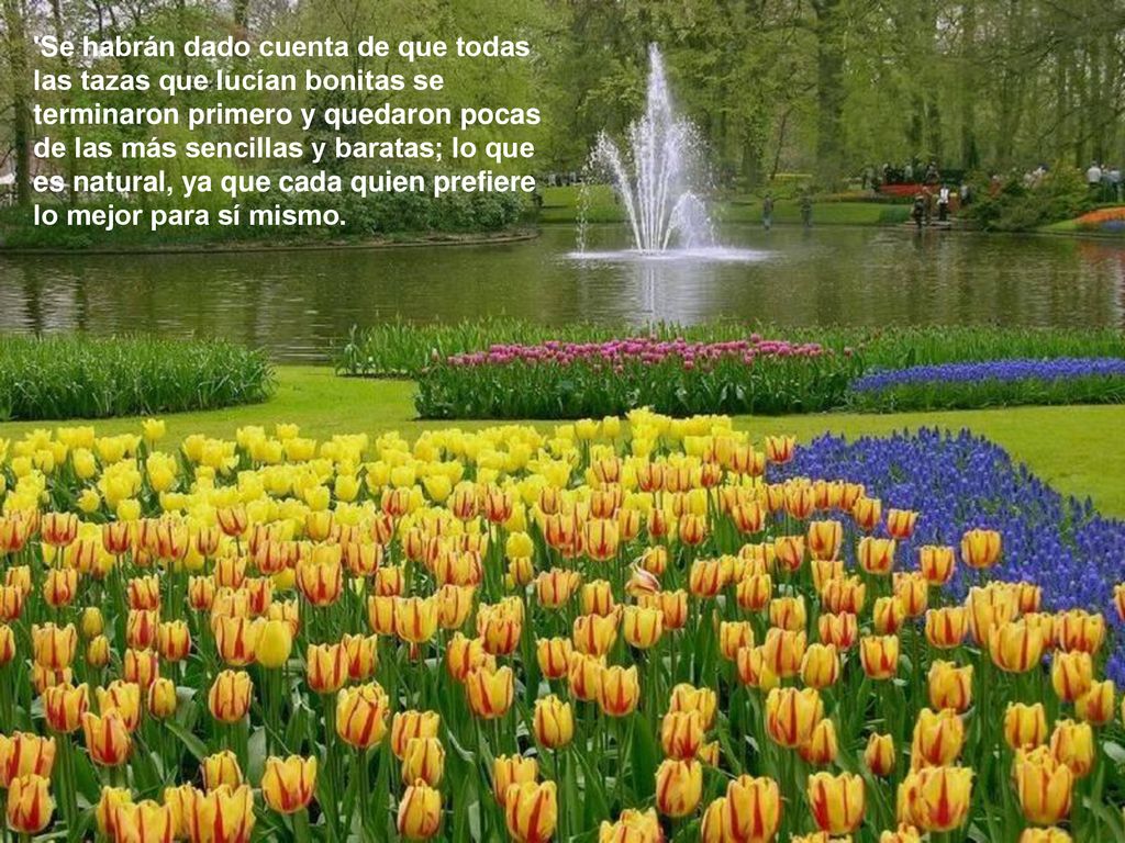 Se habrán dado cuenta de que todas las tazas que lucían bonitas se terminaron primero y quedaron pocas de las más sencillas y baratas; lo que es natural, ya que cada quien prefiere lo mejor para sí mismo.