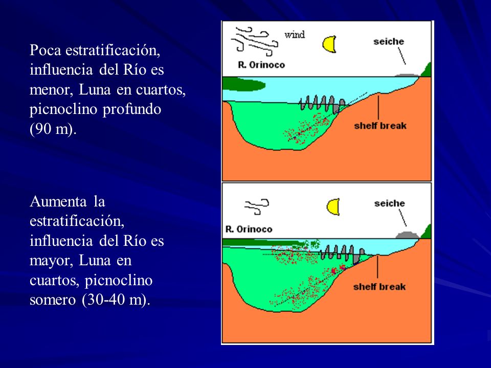 Poca estratificación, influencia del Río es menor, Luna en cuartos, picnoclino profundo (90 m).