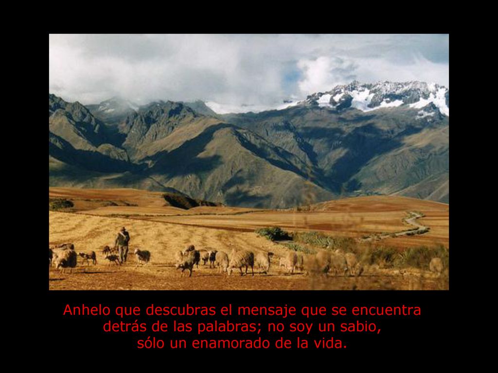 Anhelo que descubras el mensaje que se encuentra detrás de las palabras; no soy un sabio, sólo un enamorado de la vida.