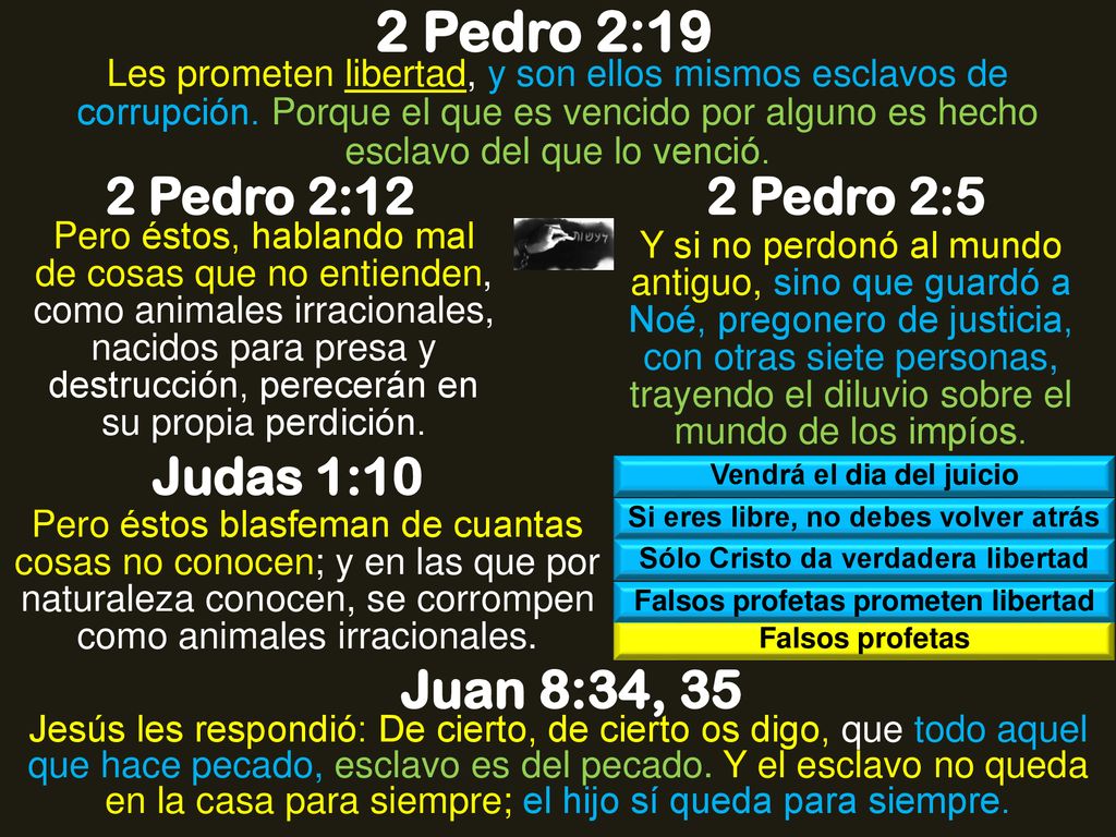 2 Pedro 2:19 Juan 8:34, 35 2 Pedro 2:12 2 Pedro 2:5 Judas 1:10