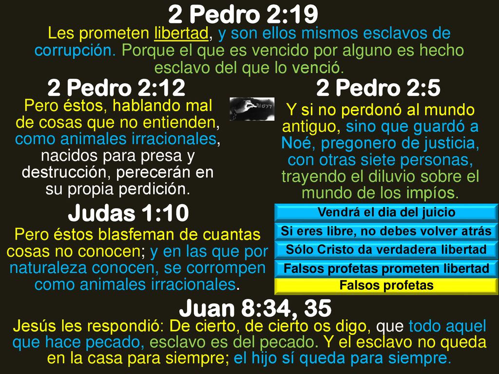 2 Pedro 2:19 Juan 8:34, 35 2 Pedro 2:12 2 Pedro 2:5 Judas 1:10