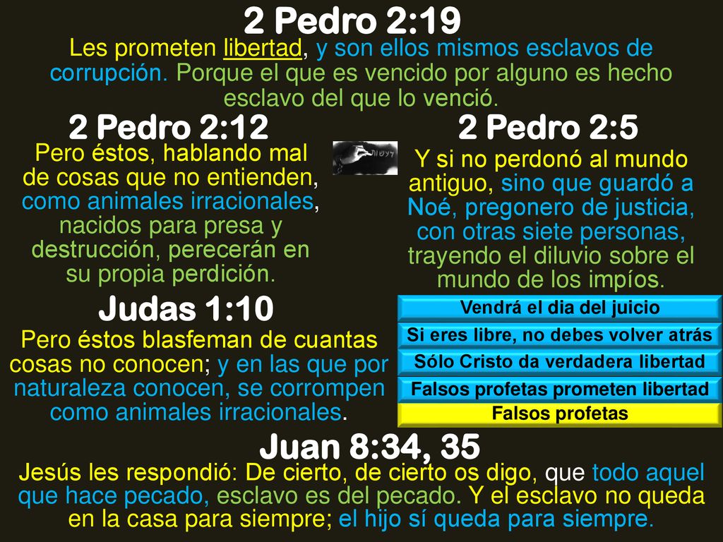 2 Pedro 2:19 Juan 8:34, 35 2 Pedro 2:12 2 Pedro 2:5 Judas 1:10