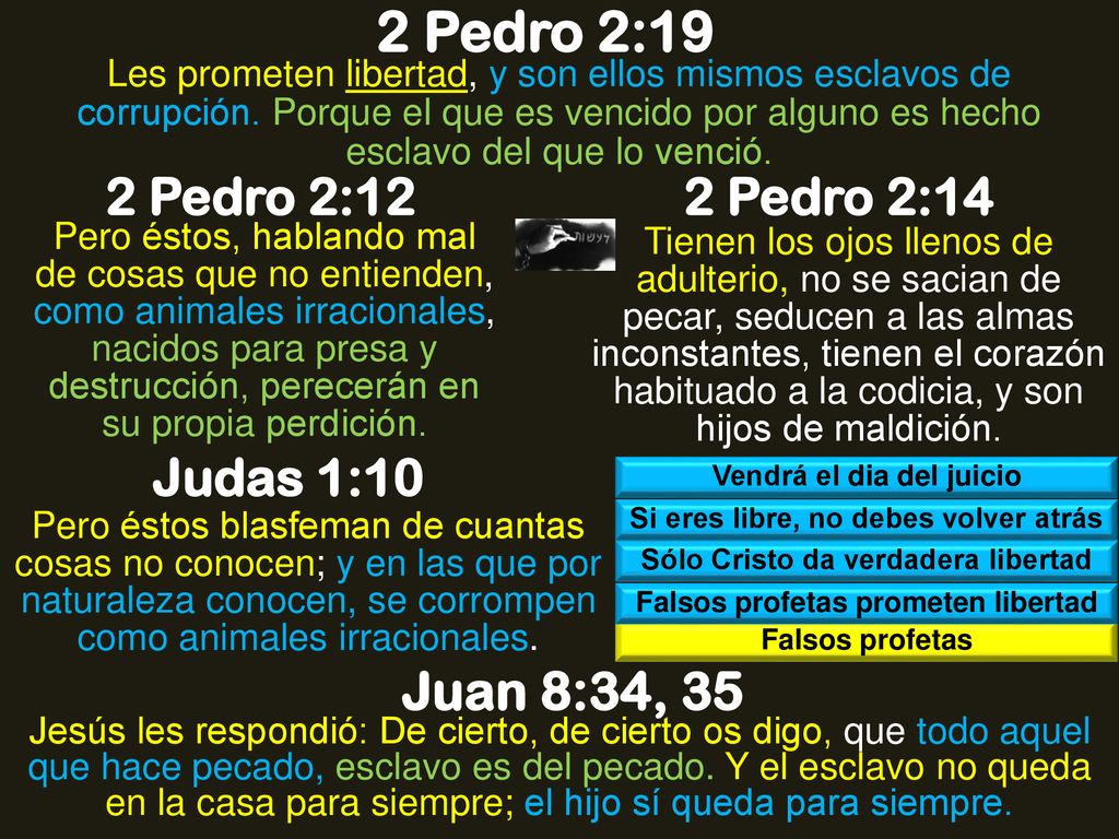 2 Pedro 2:19 Juan 8:34, 35 2 Pedro 2:12 2 Pedro 2:14 Judas 1:10