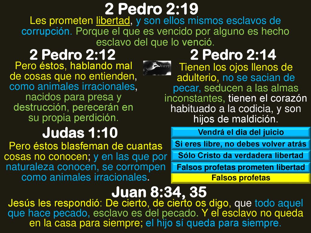 2 Pedro 2:19 Juan 8:34, 35 2 Pedro 2:12 2 Pedro 2:14 Judas 1:10
