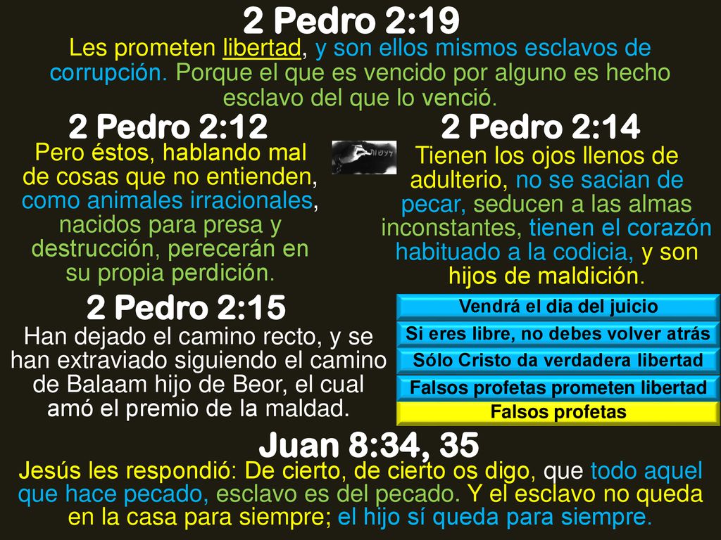 2 Pedro 2:19 Juan 8:34, 35 2 Pedro 2:12 2 Pedro 2:14 2 Pedro 2:15