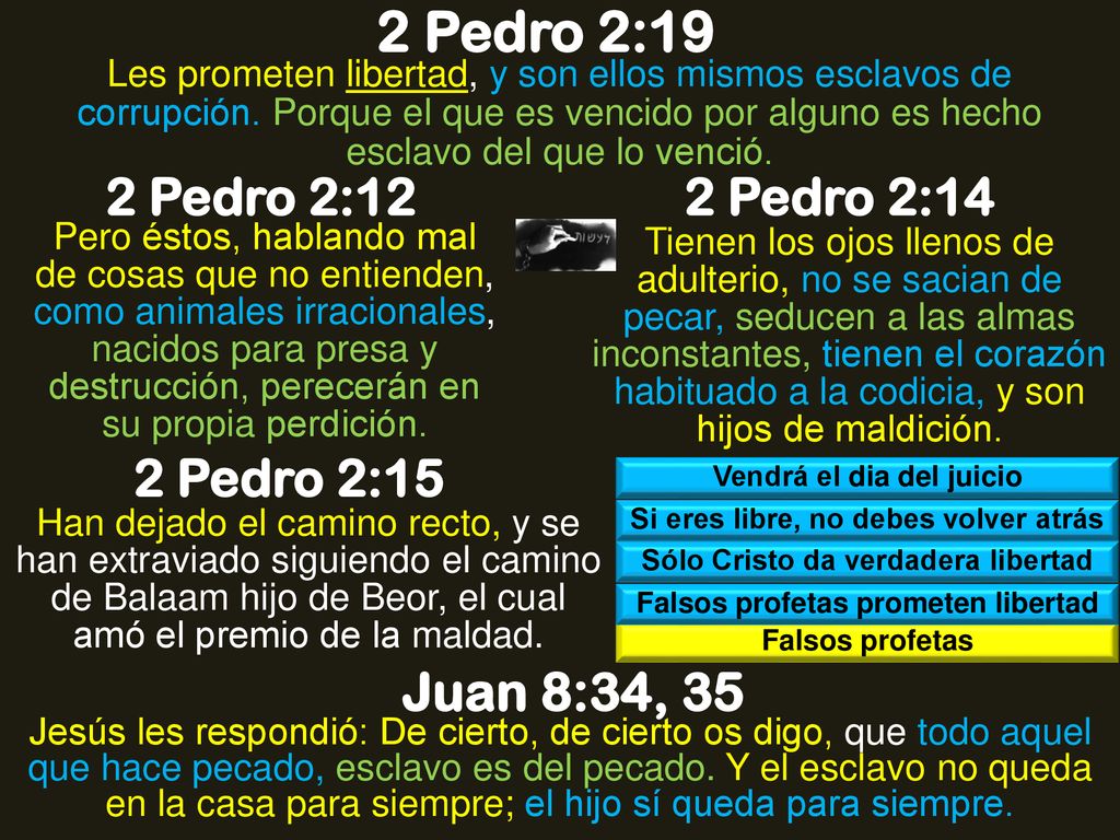 2 Pedro 2:19 Juan 8:34, 35 2 Pedro 2:12 2 Pedro 2:14 2 Pedro 2:15