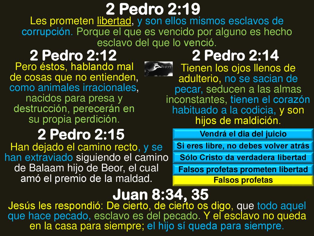 2 Pedro 2:19 Juan 8:34, 35 2 Pedro 2:12 2 Pedro 2:14 2 Pedro 2:15
