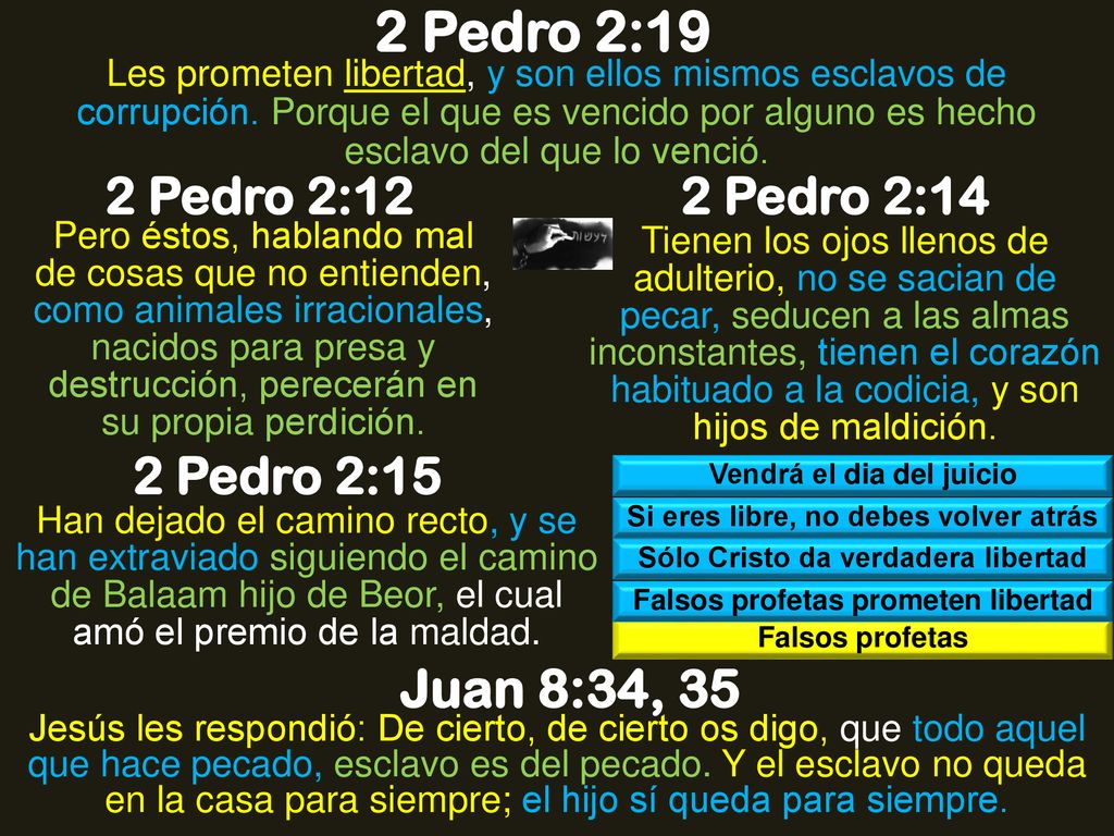 2 Pedro 2:19 Juan 8:34, 35 2 Pedro 2:12 2 Pedro 2:14 2 Pedro 2:15