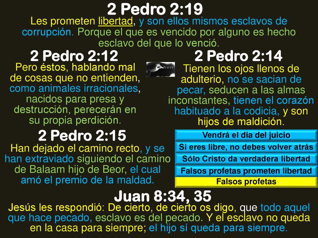 2 Pedro 2:19 Juan 8:34, 35 2 Pedro 2:12 2 Pedro 2:14 2 Pedro 2:15