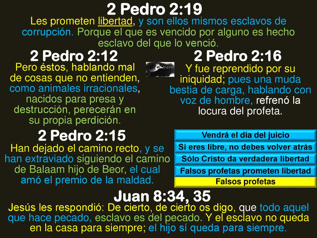 2 Pedro 2:19 Juan 8:34, 35 2 Pedro 2:12 2 Pedro 2:16 2 Pedro 2:15