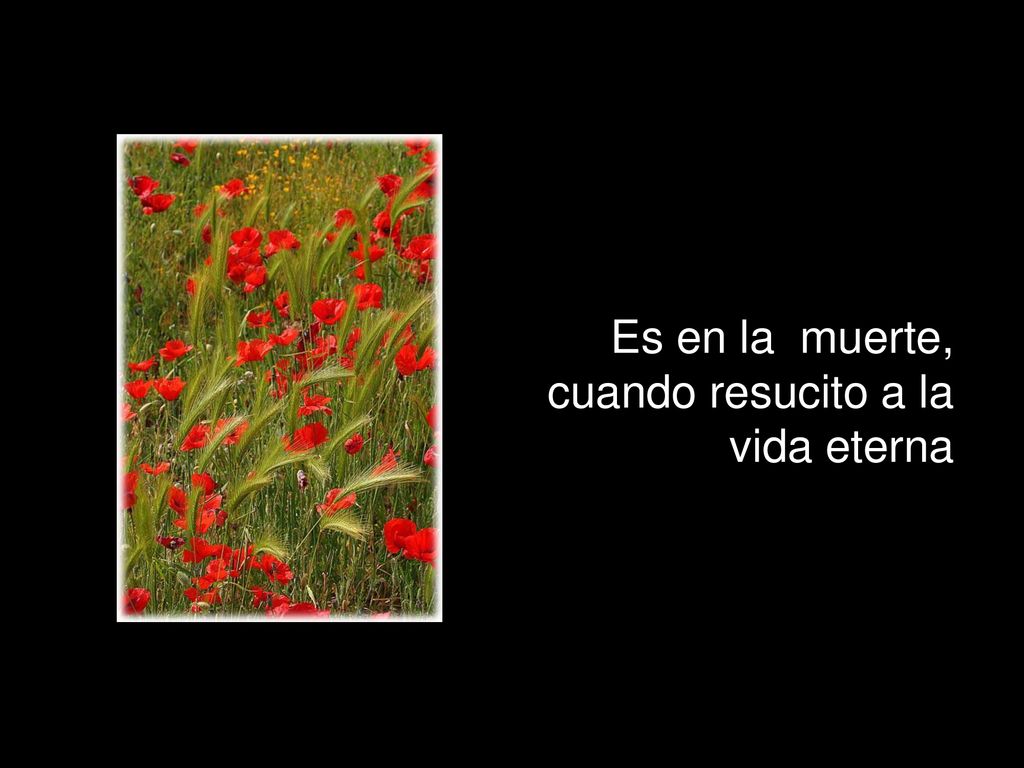 Es en la muerte, cuando resucito a la vida eterna