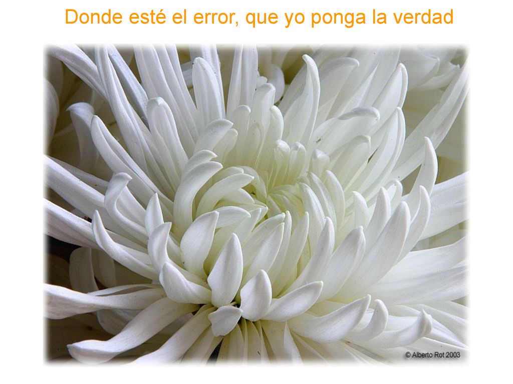 Donde esté el error, que yo ponga la verdad