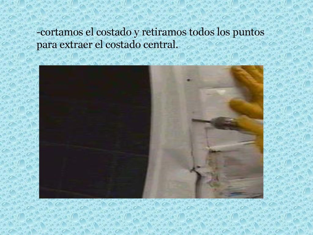 -cortamos el costado y retiramos todos los puntos para extraer el costado central.