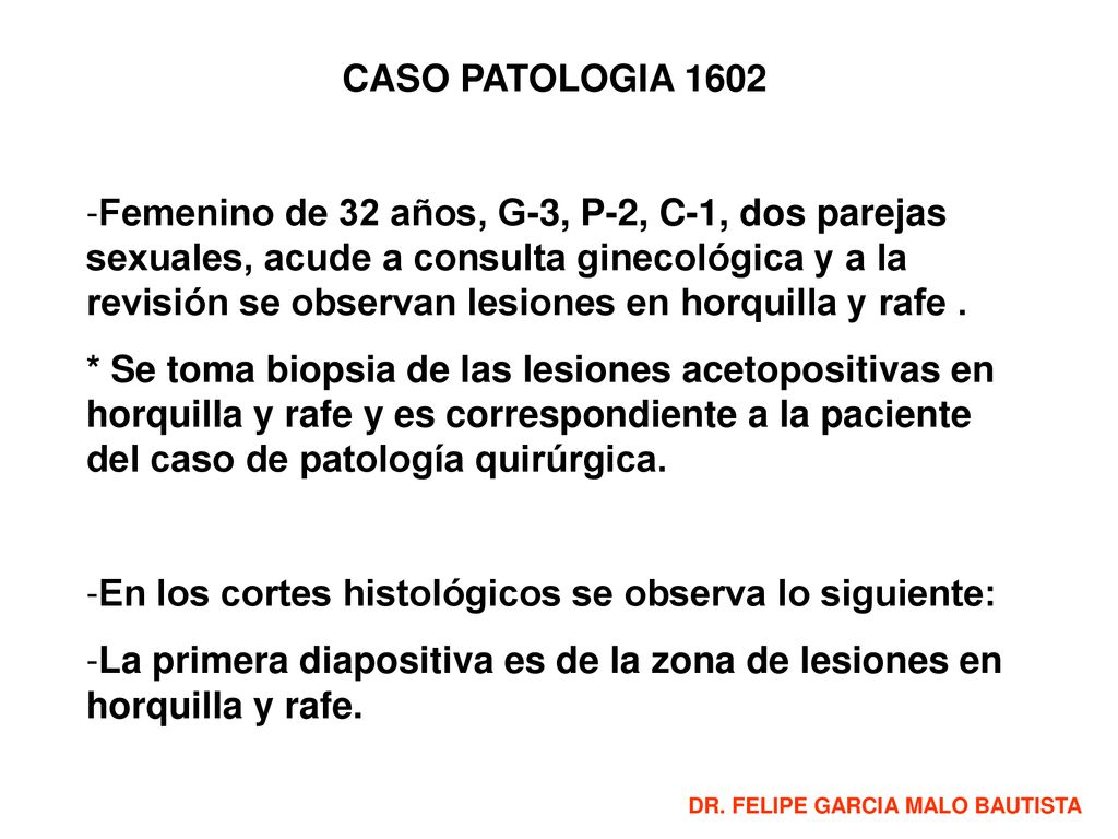 En los cortes histológicos se observa lo siguiente: