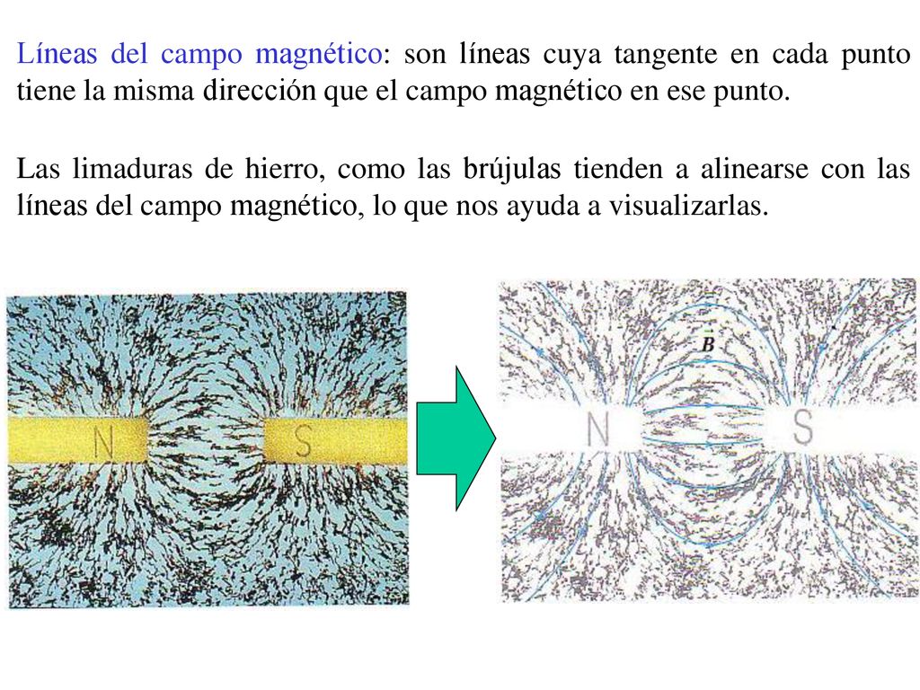 Líneas del campo magnético: son líneas cuya tangente en cada punto tiene la misma dirección que el campo magnético en ese punto.