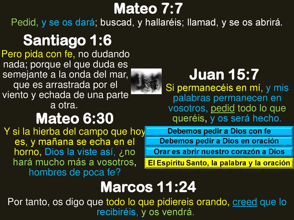 Mateo 7:7 Santiago 1:6 Juan 15:7 Mateo 6:30 Marcos 11:24