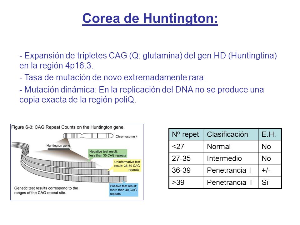 Corea de Huntington: Expansión de tripletes CAG (Q: glutamina) del gen HD (Huntingtina) en la región 4p16.3.