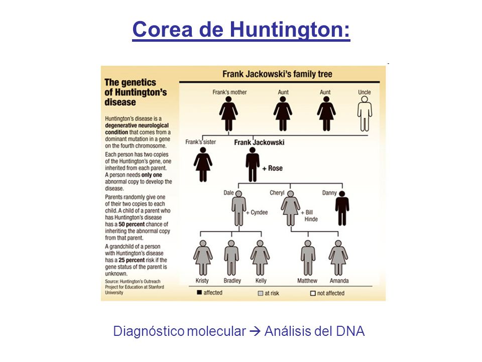Corea de Huntington: Diagnóstico molecular  Análisis del DNA