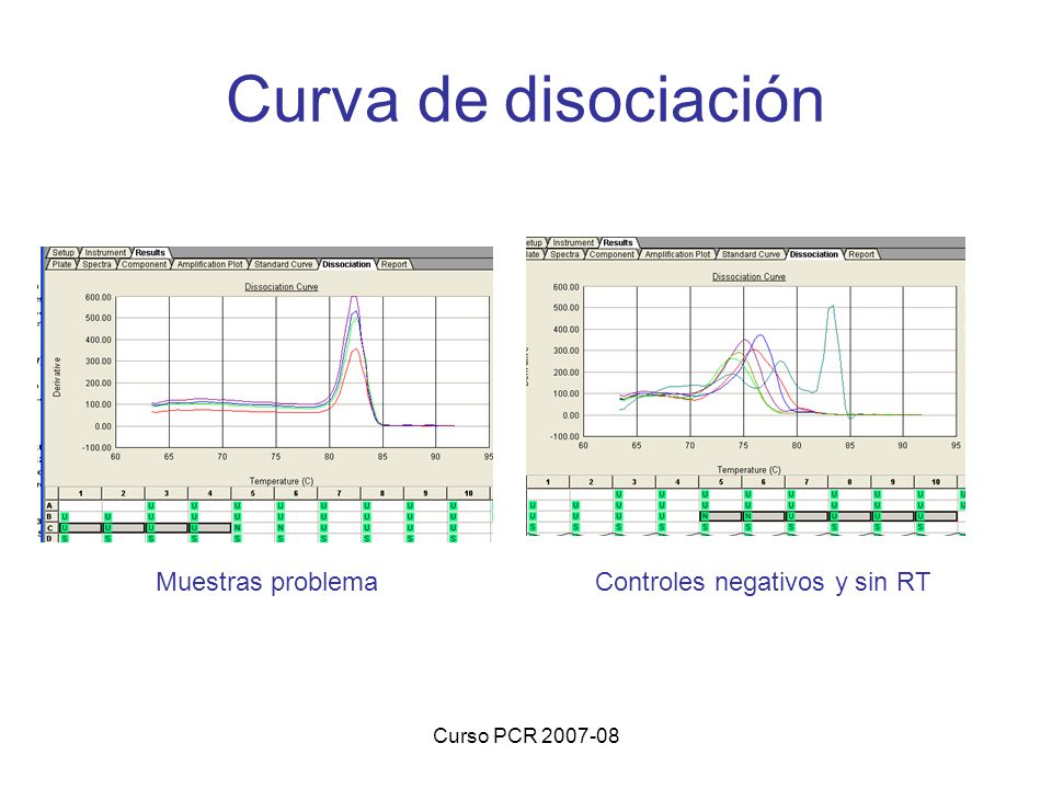 Curva de disociación Muestras problema Controles negativos y sin RT