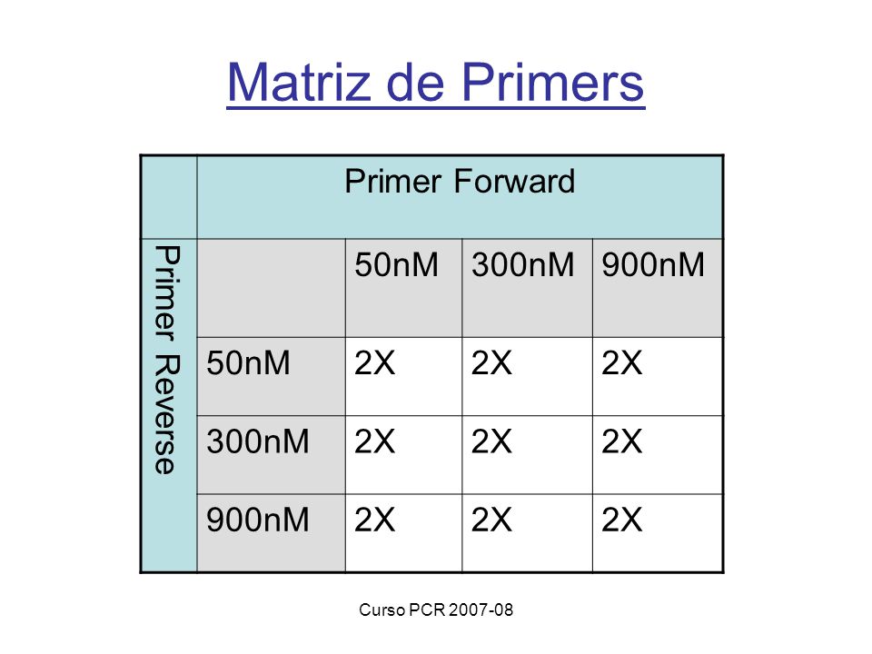 Matriz de Primers Primer Forward Primer Reverse 50nM 300nM 900nM 2X