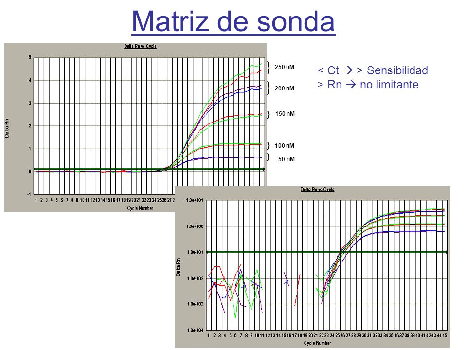 Matriz de sonda < Ct  > Sensibilidad > Rn  no limitante