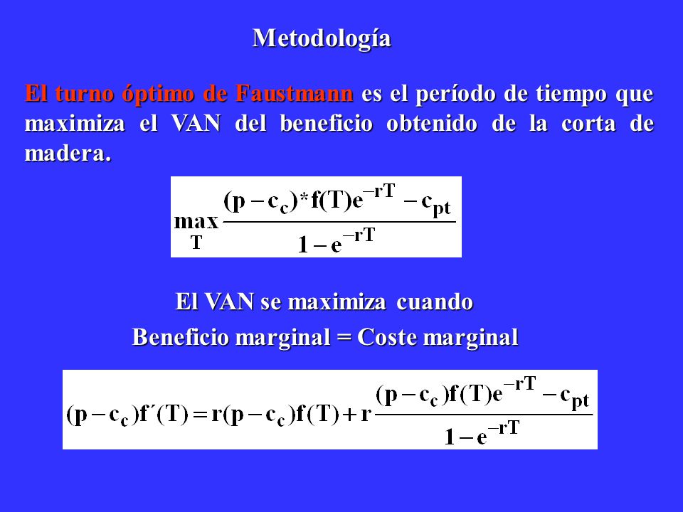 El VAN se maximiza cuando Beneficio marginal = Coste marginal